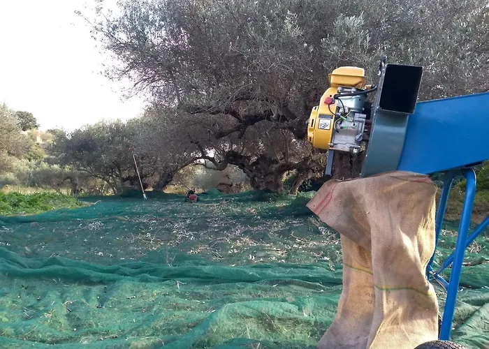 Dom wakacyjny House In Porfyrousa Organic Farm Avlemonas